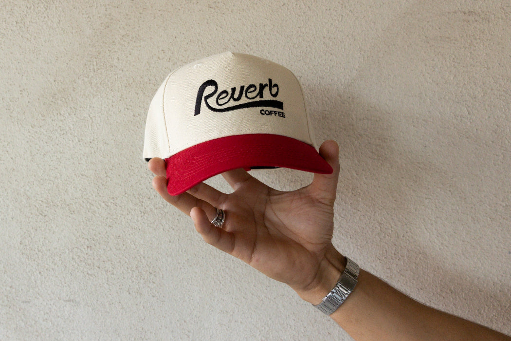 Reverb Ball Cap